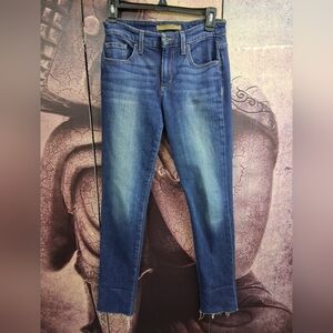 Joe's Jeans Women's Skinny Blue Denim